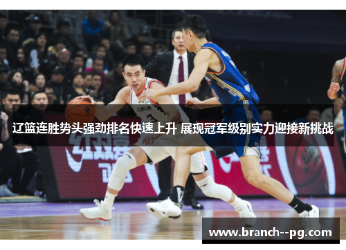 辽篮连胜势头强劲排名快速上升 展现冠军级别实力迎接新挑战