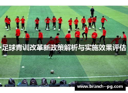 足球青训改革新政策解析与实施效果评估