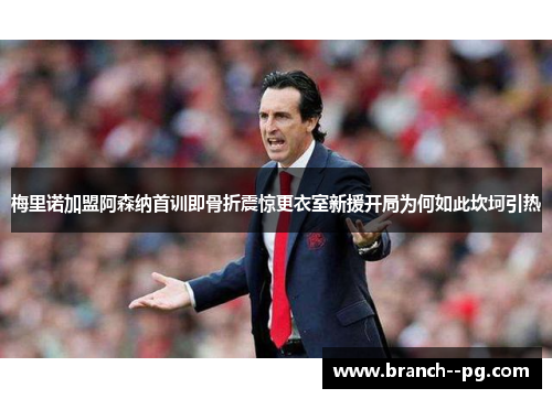 梅里诺加盟阿森纳首训即骨折震惊更衣室新援开局为何如此坎坷引热